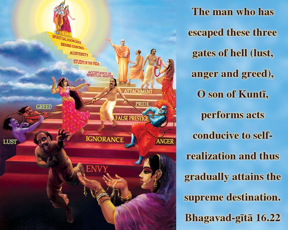 Bhagavad Gita Chapter 16 Verse 22 VivekaVani