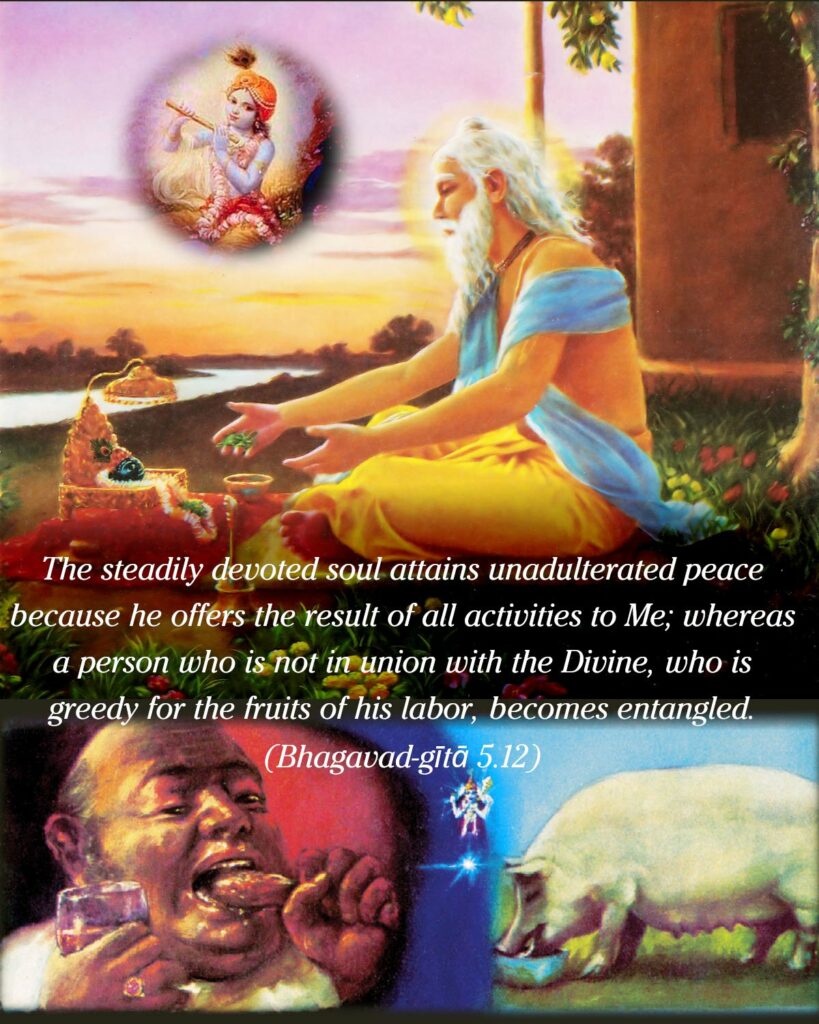 Bhagavad Gita Chapter 5 Verse 12