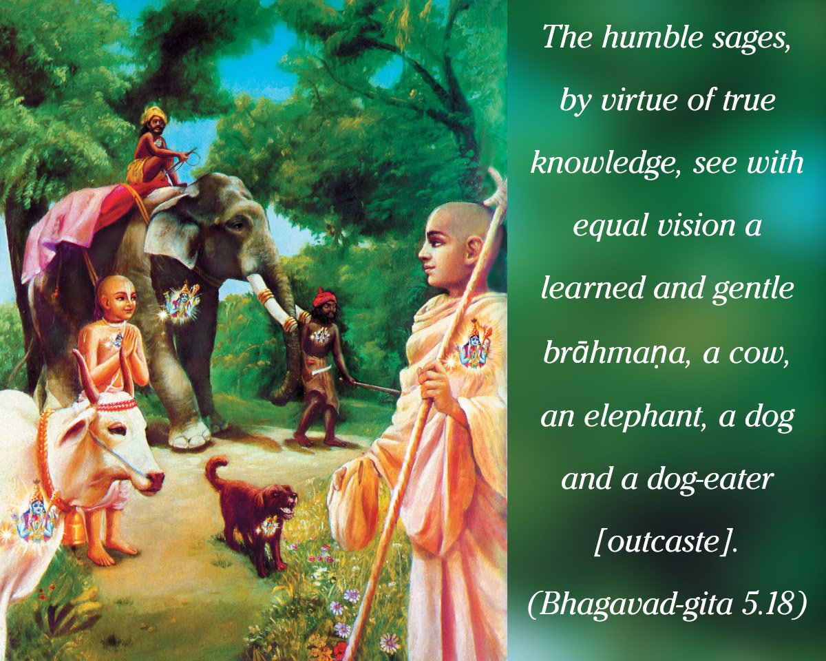 Bhagavad Gita: Chapter 5, Verse 18; Vidya Vinaya Sampanne - VivekaVani