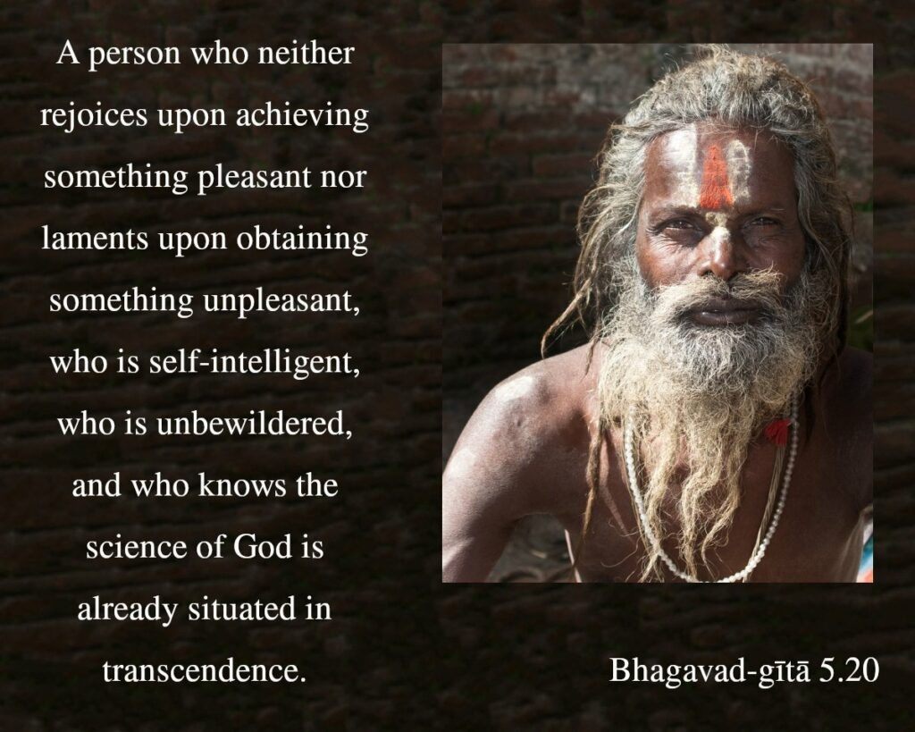 Bhagavad Gita Chapter 5 Verse 20
