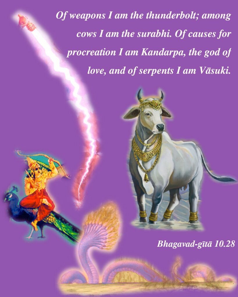 Bhagavad Gita Chapter 10 Verse 28