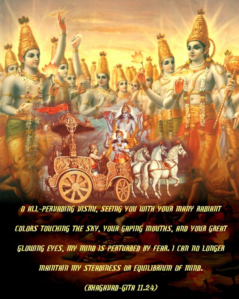 Bhagavad Gita Chapter 11 Verse 24