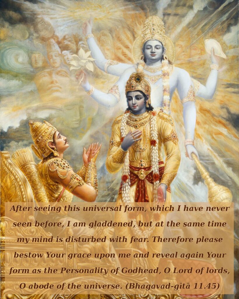 Bhagavad Gita Chapter 11 Verse 45