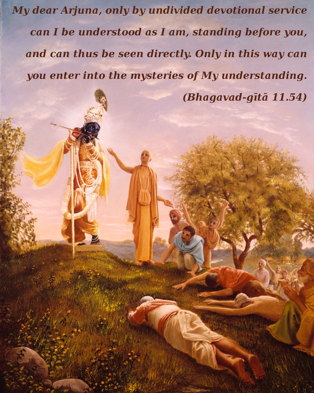 Bhagavad Gita Chapter 11 Verse 54 VivekaVani