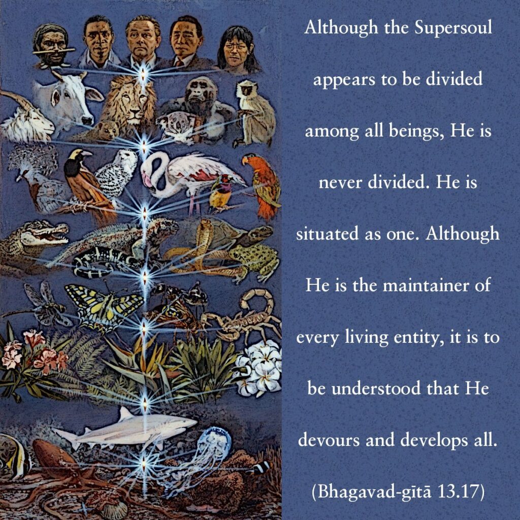 Bhagavad Gita Chapter 13 Verse 17