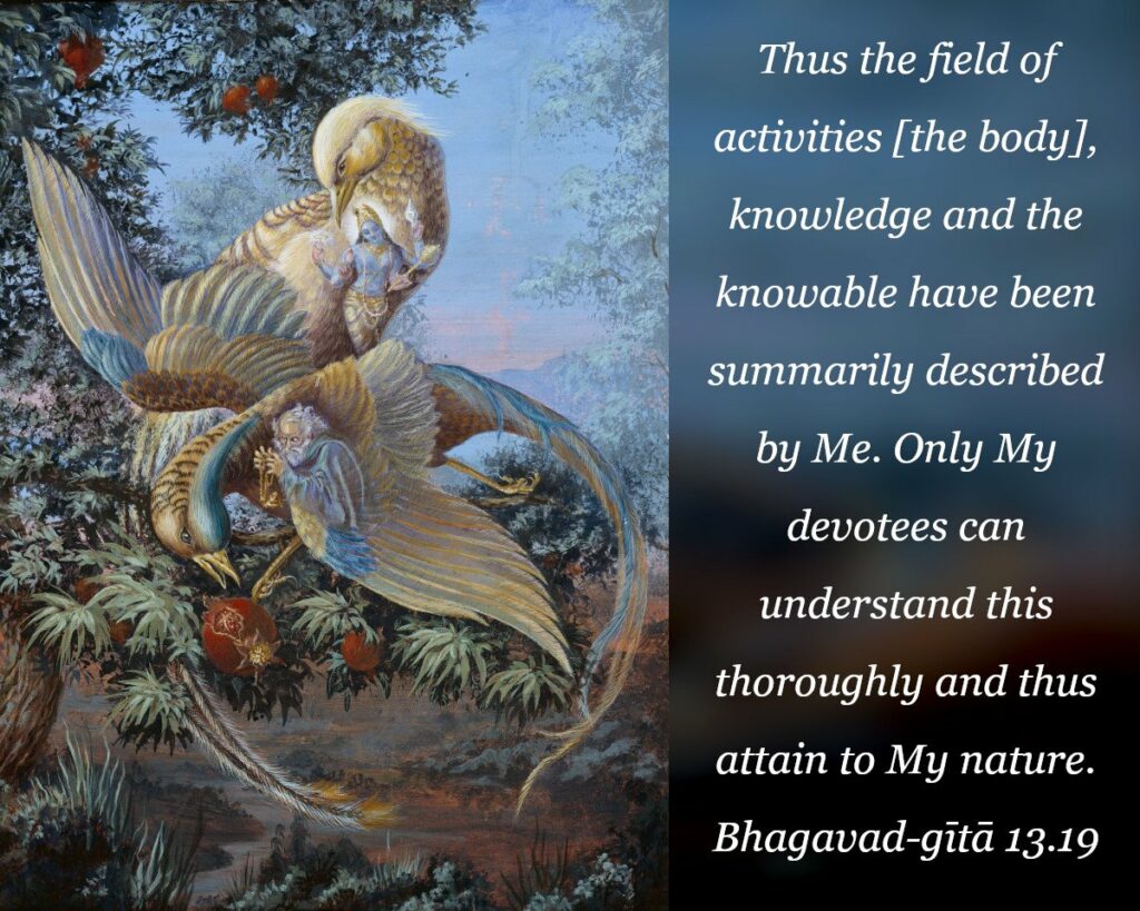 Bhagavad Gita Chapter 13 Verse 19