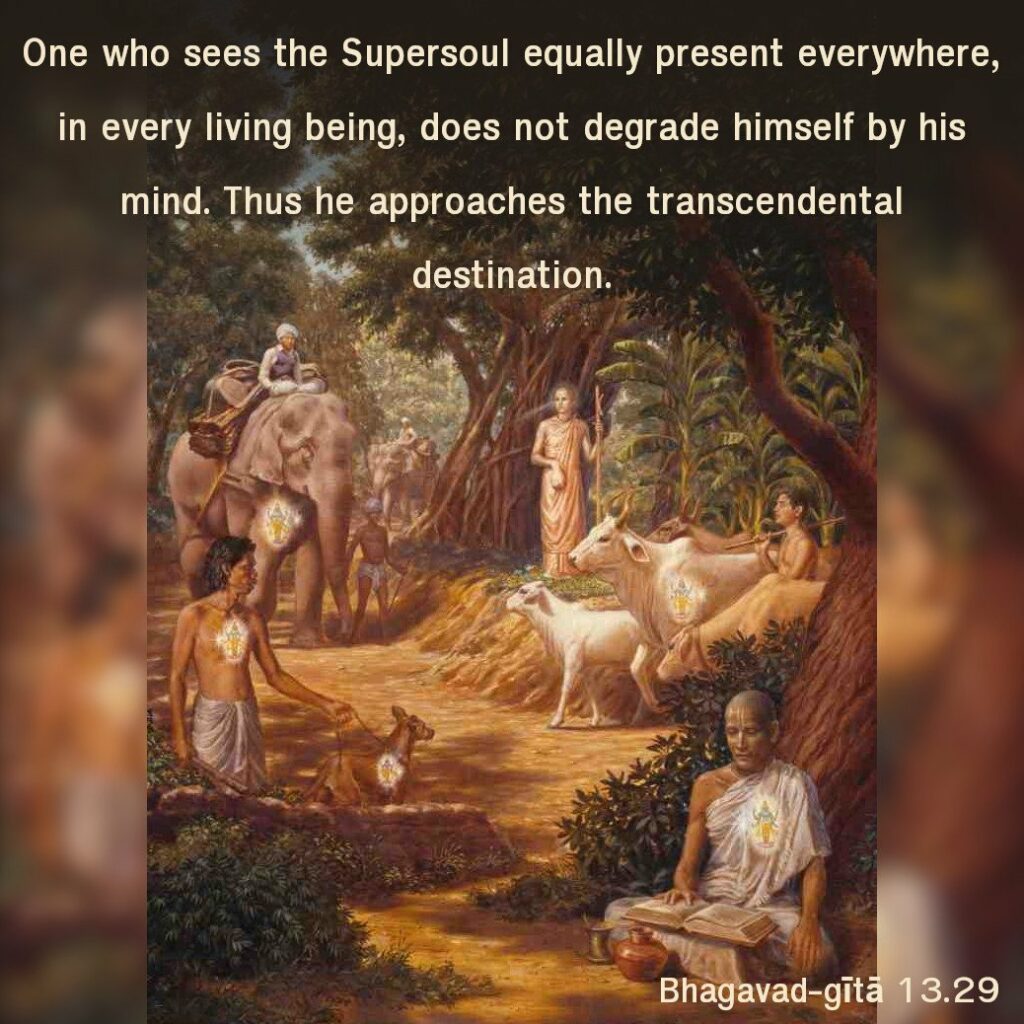 Bhagavad Gita Chapter 13 Verse 29