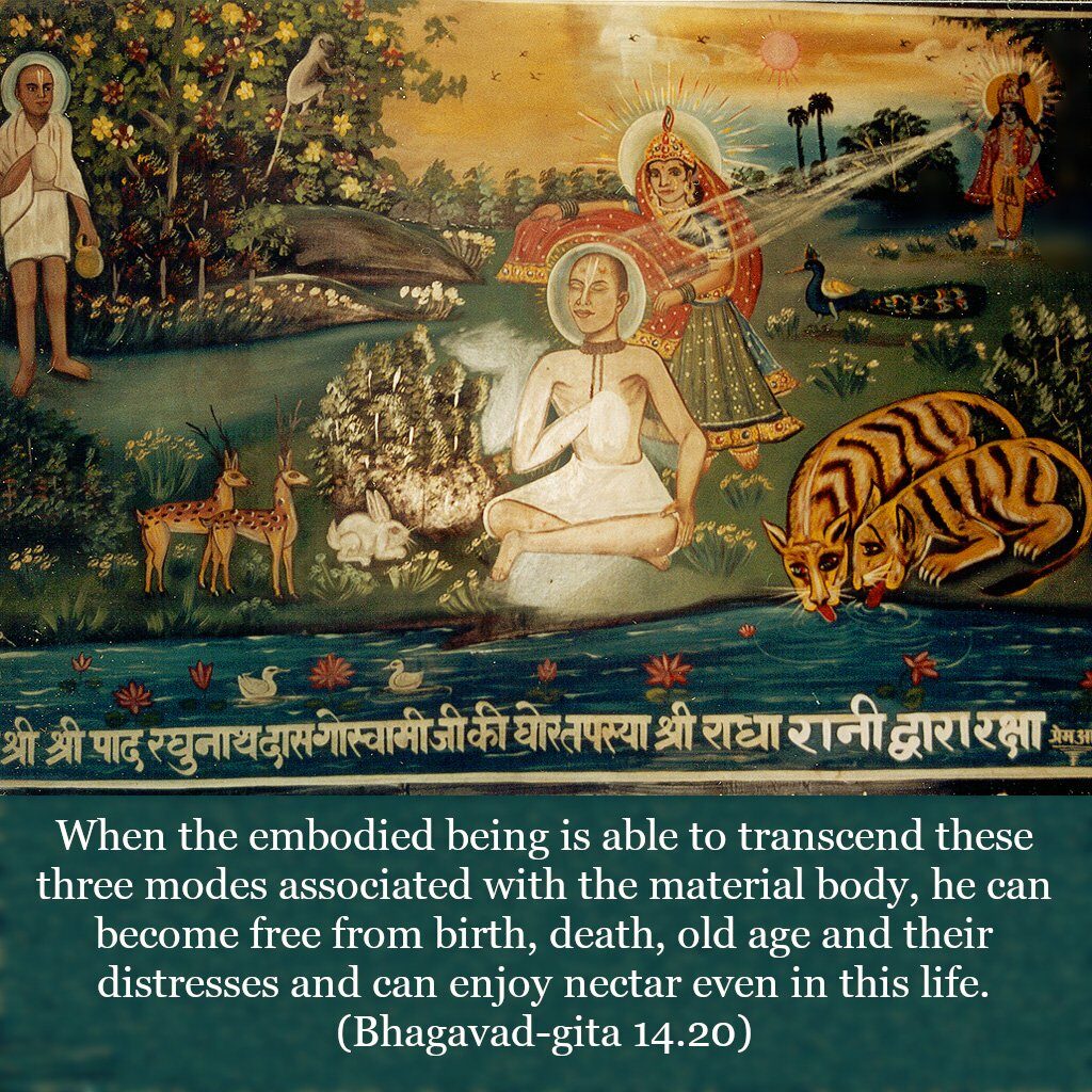 Bhagavad Gita Chapter 14 Verse 20