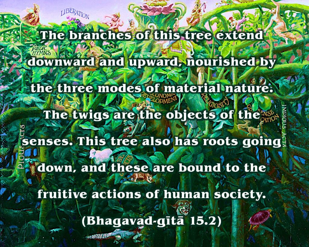 Bhagavad Gita Chapter 15 Verse 2