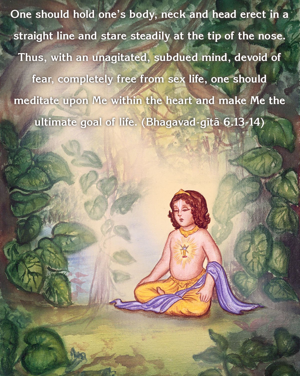 Bhagavad Gita: Chapter 6, Verse 13-14 - VivekaVani