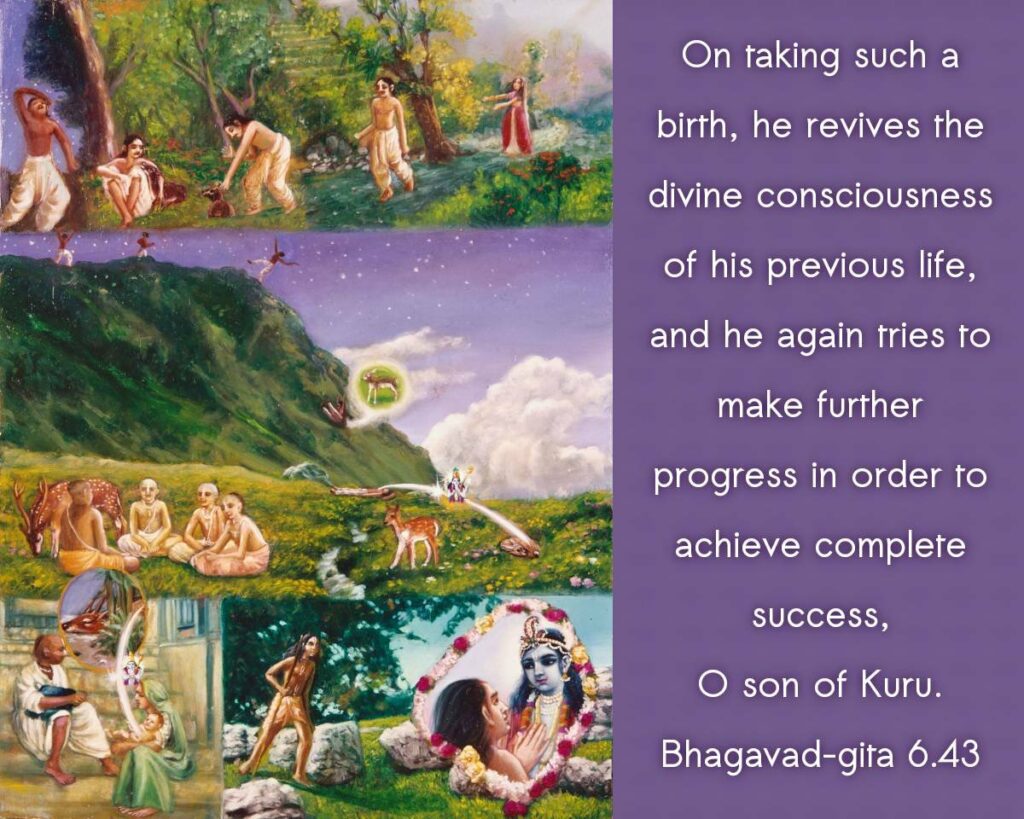 Bhagavad Gita Chapter 6 Verse 43