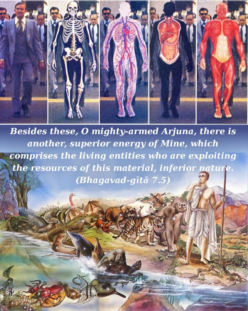 Bhagavad Gita Chapter 7 Verse 5